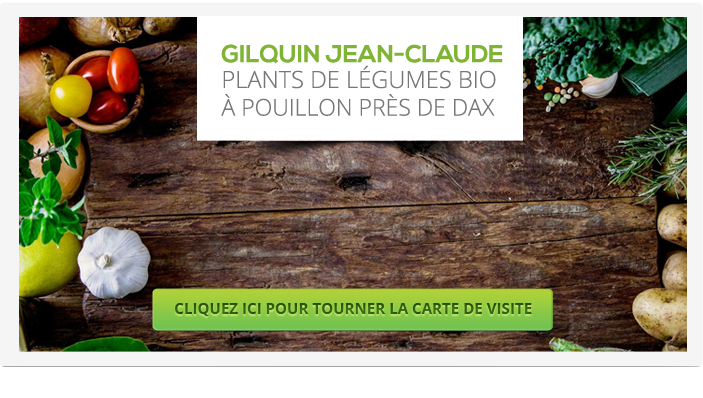 Gilquin Jean-Claude
