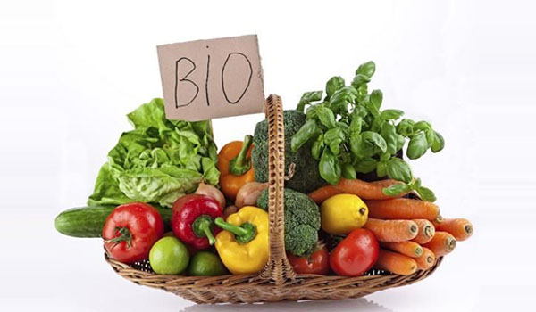 Plants de légumes bio